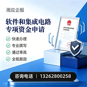 永州软件和集成电路专项资金申报服务