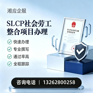 永州SLCP社会劳工整合项目申报服务