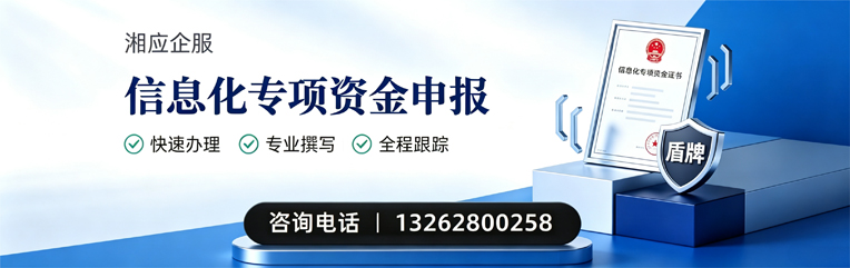 永州信息化专项资金申报服务