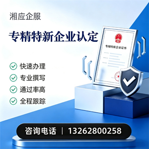 永州专精特新企业申报服务