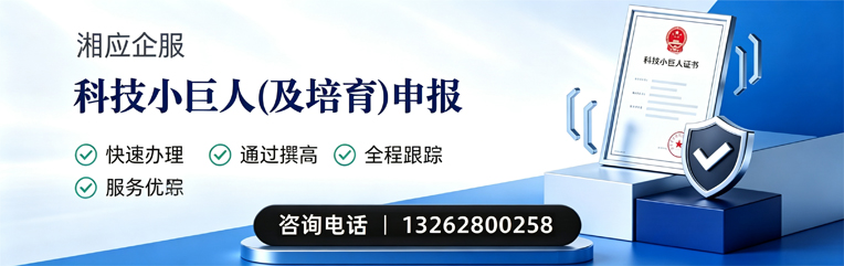 永州科技小巨人及培育企业申报服务