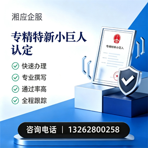 永州专精特新小巨人申报服务