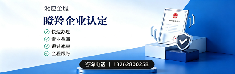 永州瞪羚企业认定申报服务