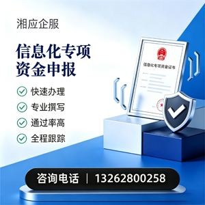 永州信息化专项资金申报服务
