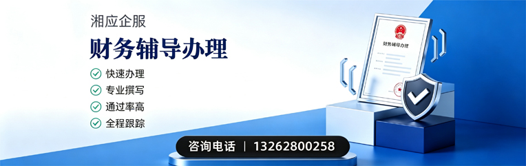 永州财务辅导申请服务