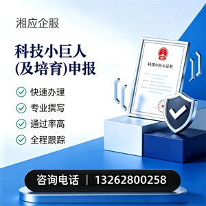 永州科技小巨人及培育企业申报服务