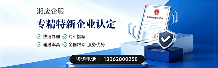 永州专精特新企业申报服务
