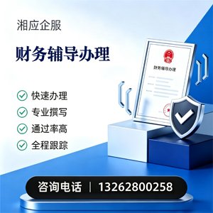 永州财务辅导申请服务