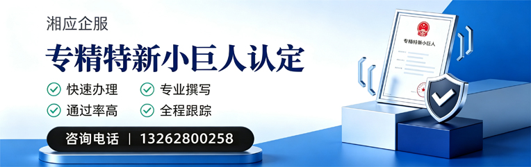 永州专精特新小巨人申报服务
